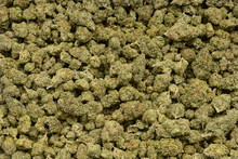A Large Pile Of Bud Material