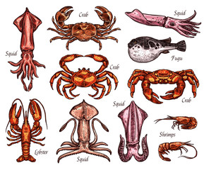 Wall Mural - Sea animal sketches with fish and crustacean