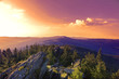 
Summer landscape at sunset in National park Bayerische Wald,
 view from the mountain Grosser Arber, Germany.