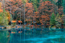 Beautiful Crystal Clear Water At Best-know Blausee Lake In Kandersteg, Switzerland During Autumn Season
