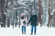 © LIGHTFIELD STUDIOS - young smiling couple holding hands and walking in winter park