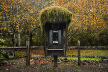 Telephone Booth In Forest During Autumn
