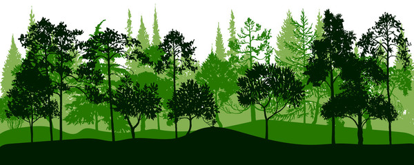 vector landscape with pine trees