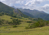 Fototapeta Natura - Green slopes in the Picos of Asturias