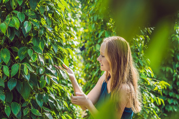 Young woman on a black pepper farm in Vietnam, Phu Quoc