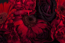 Red Flowers On Black Background