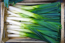 Crate Of Organic Green And White Fresh Leeks At A Farmers Market