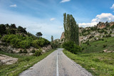Fototapeta  - Asphalt road leading into a green landscape