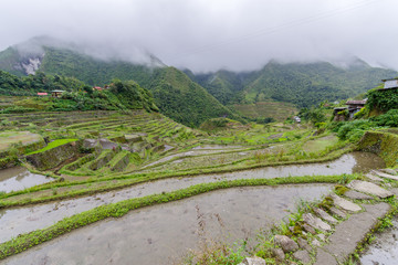 beautiful landscape  Batad rice terrace  in Banaue,