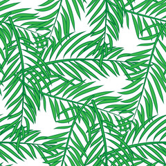  Seamless pattern with palm tree green leaves on white background.