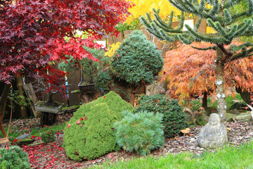 Wall Mural - autumn color garden