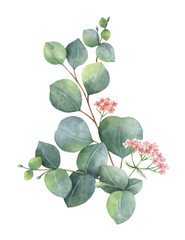 Wall Mural - Watercolor vector bouquet with green eucalyptus leaves and branches.