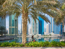 A Girl Sitting Under The Palm At Jumeirah Lake Towers In Dubai