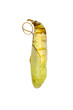 Image of Butterfly pupa on a white background. Insect. Animal.