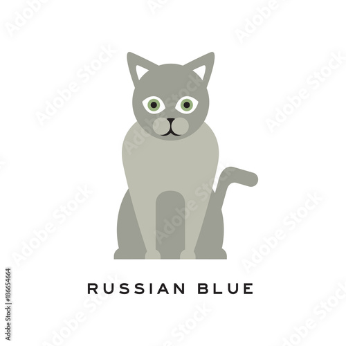 Russian Blue Cat Adorable Short Haired Feline With Gray Coat