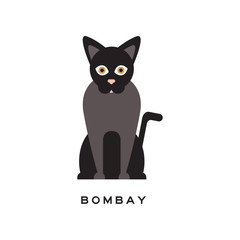 Wall Mural - Elegant bombay cat. Type of short-haired feline with black coat, pink nose and brown eyes. Cartoon character of purebred domestic animal. Flat vector design