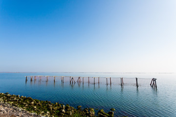 Shellfish farming from Po river lagoon, Italy