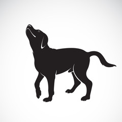 Poster - Vector of a dog labrador on white background. Pet. Animals. Vector illustration.