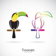 Vector Of Toucan Bird Design On White Background. Wild Animals. Easy Editable Layered Vector Illustration.