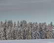 © Hamperium Photo - Winter in Rödön, Jämtland Sweden Scandinavia