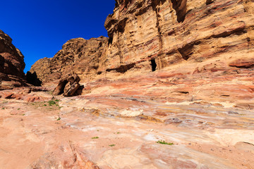 Wall Mural - Rose red rocks at Petra the ancient City  Al Khazneh in Jordan