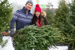© pikselstock - Picking the Christmas tree