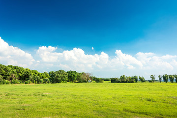 Wall Mural - Green meadow under blue sky with clouds