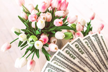 Tulips Pink White Bucket Light Background Bouquet Fresh Pink Tulips On The Dollars Banknotes Background