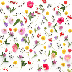 Wall Mural - Composition pattern from plants, wild flowers and  berries, isolated on white background, flat lay, top view. The concept of summer, spring, Mother's Day, March 8. 