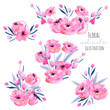 Watercolor pink poppies and floral branches bouquets collection, hand drawn isolated on a white background