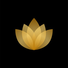 Abstract gold and transparent lotus logo design