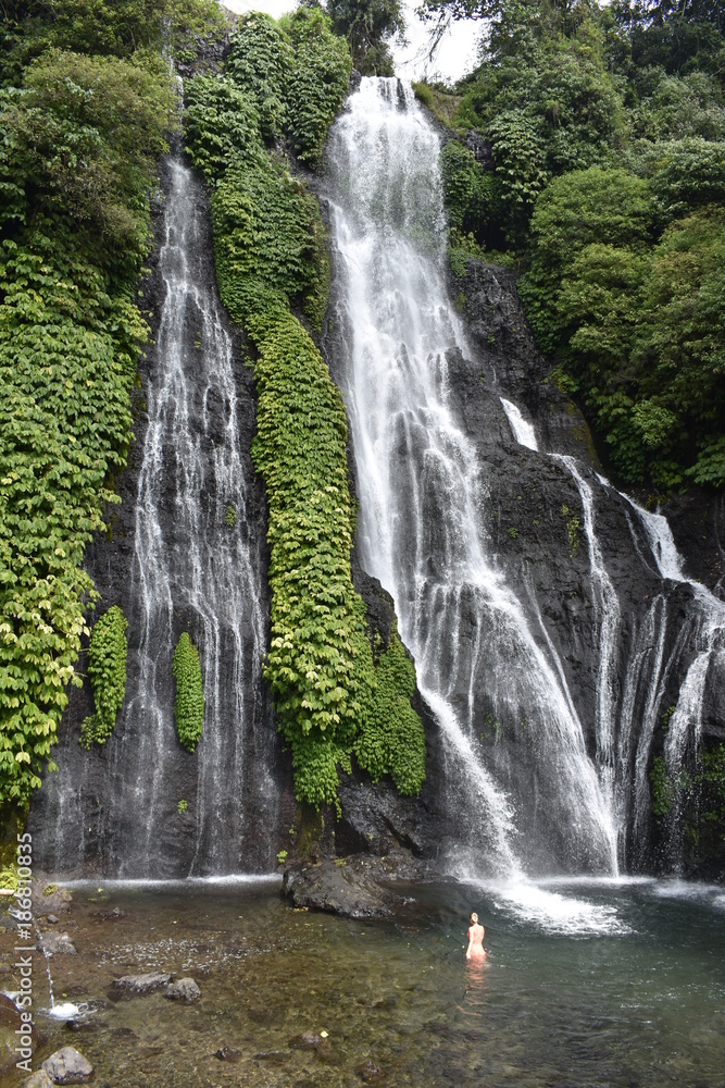 Banyumala Twin Waterfalls - obrazy, fototapety, plakaty 
