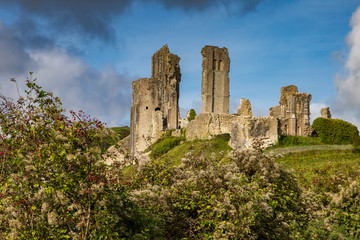 Wall Mural - England, Dorset, Corfe Castle