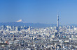 東京風景・2018年　富士山と東京の街並み全景