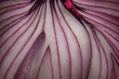© Derek Brumby - Close up of half of red onion