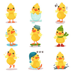 Canvas Print - Cute little yellow duck chick characters set, duckling in different poses and situations cartoon vector Illustrations