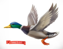 Duck. Hunting 3d Vector Icon