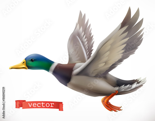 Duck. Hunting 3d vector icon Tableau sur Toile