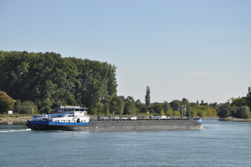 Poster - Transportschiff auf dem Rhein bei Mainz