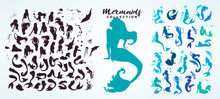 Set: Ink Sketch Collection Of Mermaids And Siren Creator, Isolated On White. Hand Drawn Realistic Sketch Of Singing, Sitting, Floating, Dancing... Mermaid And Sea Life. Vector Illustration.