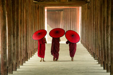 Myanmar Novice Monks Are Walking In Pagoda The Temple Salay Burma.