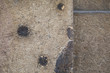 © chrisdorney - Bullet Holes and Shrapnel Damage in Prague