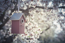 Vintage Bird Feeder Free Stock Photo - Public Domain Pictures