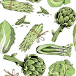 Vector illustration of green vegetables on white background. Seamless pattern