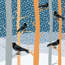 Black Birds On The Winter Trees. Snowing In Winter Nature. Vector Illustration On Blue Background