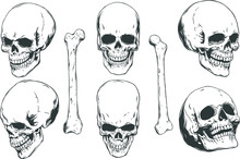 Hand Drawn Realistic Human Skulls And Bones From Different Angles. Monochrome Vector Illustration On White Background. 