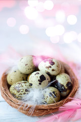 Wall Mural - Quail eggs and feathers in small nest, on white wooden background with bokeh; copy space; easter background