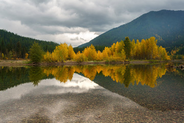 Poster - Montana Fall