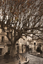 Street Of Avignon, France