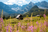 Fototapeta Paryż - Hala Gasienicowa, Tatra mountains Zakopane Poland